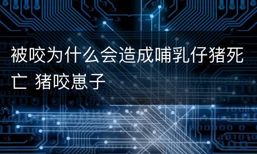 被咬为什么会造成哺乳仔猪死亡 猪咬崽子