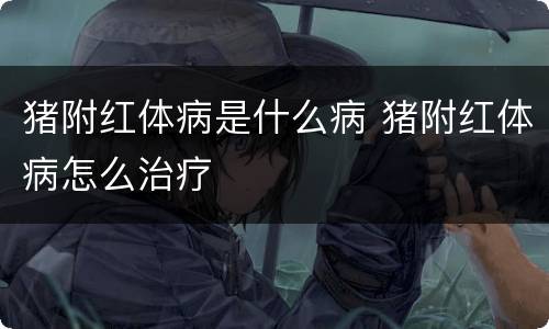 猪附红体病是什么病 猪附红体病怎么治疗