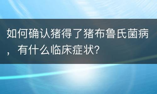 如何确认猪得了猪布鲁氏菌病，有什么临床症状？