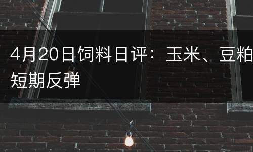 4月20日饲料日评：玉米、豆粕短期反弹