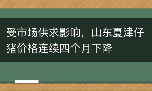 受市场供求影响，山东夏津仔猪价格连续四个月下降
