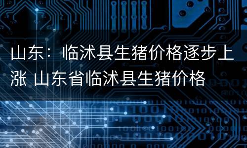 山东：临沭县生猪价格逐步上涨 山东省临沭县生猪价格