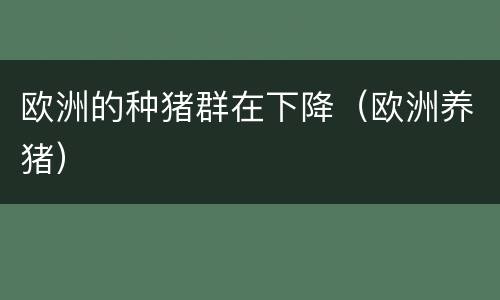 欧洲的种猪群在下降（欧洲养猪）