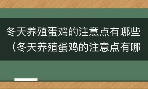 冬天养殖蛋鸡的注意点有哪些（冬天养殖蛋鸡的注意点有哪些方面）