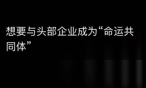 想要与头部企业成为“命运共同体”