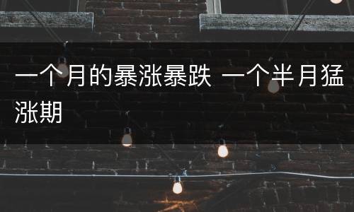 一个月的暴涨暴跌 一个半月猛涨期