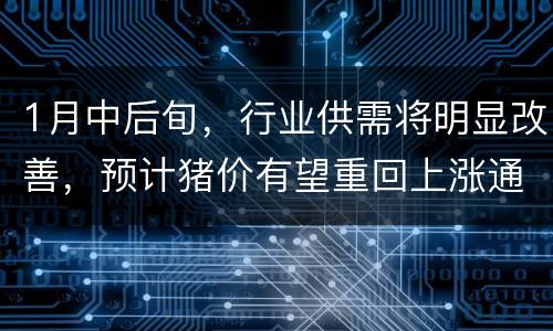 1月中后旬，行业供需将明显改善，预计猪价有望重回上涨通道