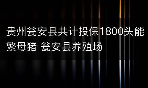 贵州瓮安县共计投保1800头能繁母猪 瓮安县养殖场