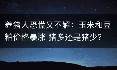 养猪人恐慌又不解：玉米和豆粕价格暴涨 猪多还是猪少？