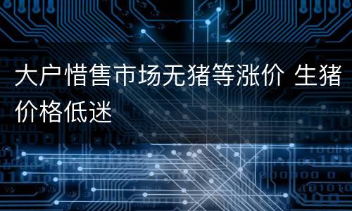 大户惜售市场无猪等涨价 生猪价格低迷