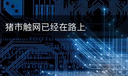 猪市触网已经在路上