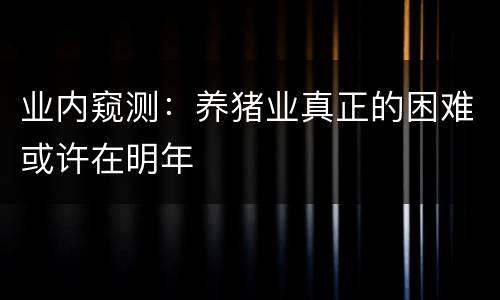 业内窥测：养猪业真正的困难或许在明年