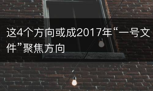这4个方向或成2017年“一号文件”聚焦方向