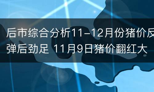 后市综合分析11-12月份猪价反弹后劲足 11月9日猪价翻红大涨