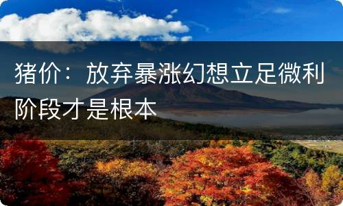 猪价：放弃暴涨幻想立足微利阶段才是根本