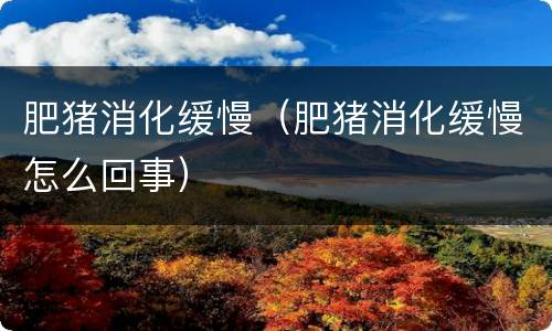 肥猪消化缓慢（肥猪消化缓慢怎么回事）