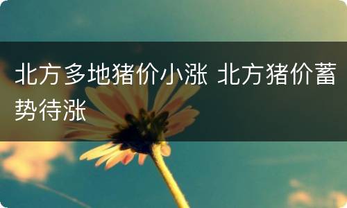 北方多地猪价小涨 北方猪价蓄势待涨