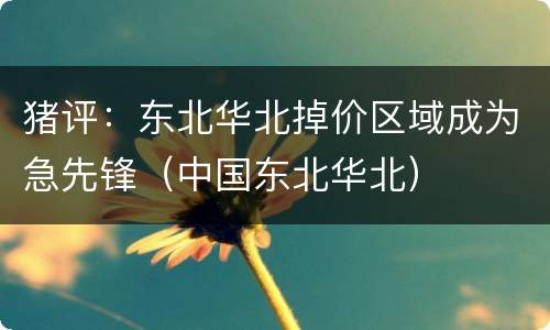 猪评：东北华北掉价区域成为急先锋（中国东北华北）