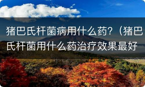 猪巴氏杆菌病用什么药?（猪巴氏杆菌用什么药治疗效果最好）