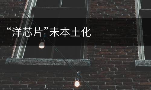 “洋芯片”未本土化