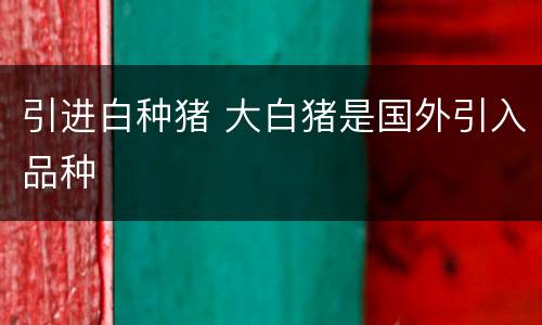 引进白种猪 大白猪是国外引入品种