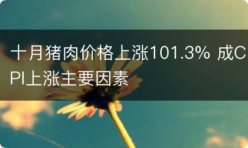 十月猪肉价格上涨101.3% 成CPI上涨主要因素