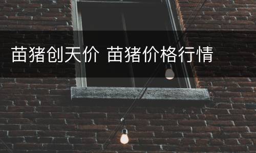 苗猪创天价 苗猪价格行情