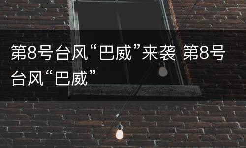 第8号台风“巴威”来袭 第8号台风“巴威”