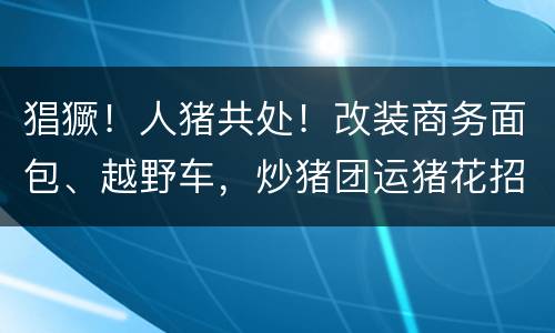 猖獗！人猪共处！改装商务面包、越野车，炒猪团运猪花招百出