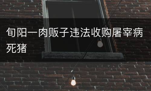 旬阳一肉贩子违法收购屠宰病死猪