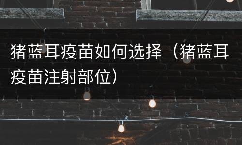 猪蓝耳疫苗如何选择（猪蓝耳疫苗注射部位）