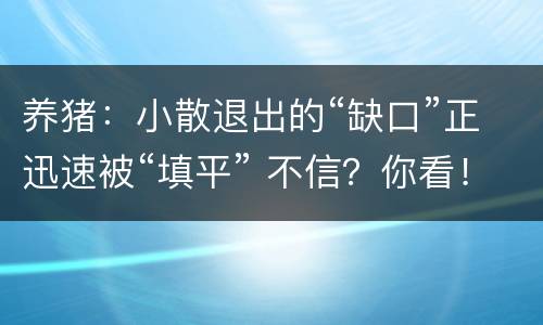 养猪：小散退出的“缺口”正迅速被“填平” 不信？你看！