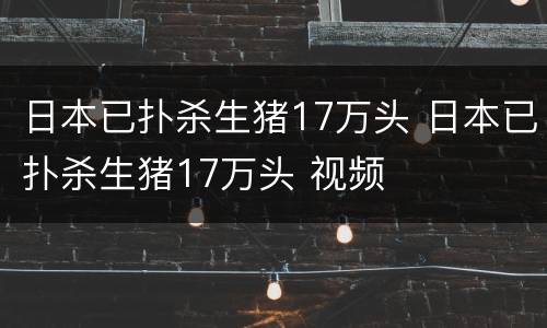 日本已扑杀生猪17万头 日本已扑杀生猪17万头 视频