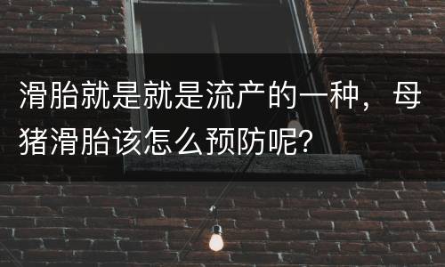 滑胎就是就是流产的一种，母猪滑胎该怎么预防呢？
