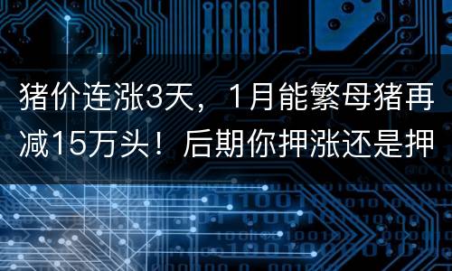 猪价连涨3天，1月能繁母猪再减15万头！后期你押涨还是押跌？