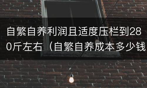 自繁自养利润且适度压栏到280斤左右（自繁自养成本多少钱一斤）