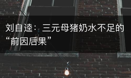 刘自逵：三元母猪奶水不足的“前因后果”