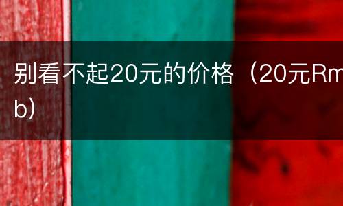 别看不起20元的价格（20元Rmb）