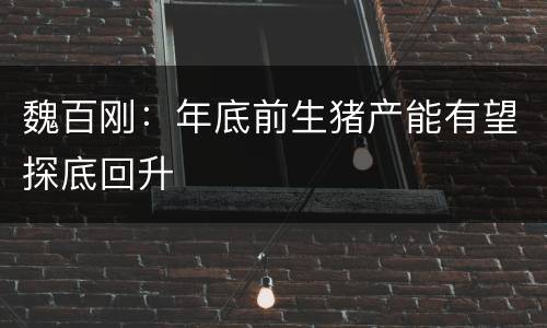魏百刚：年底前生猪产能有望探底回升