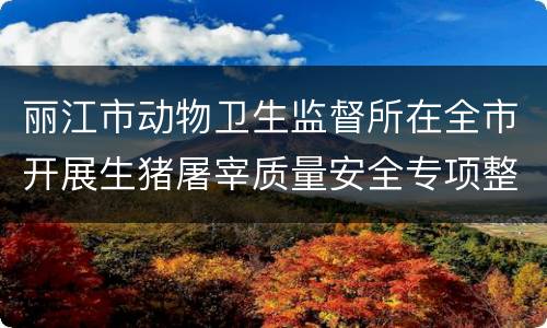 丽江市动物卫生监督所在全市开展生猪屠宰质量安全专项整治行动
