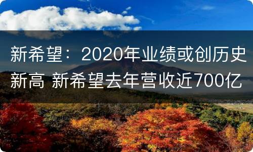 新希望：2020年业绩或创历史新高 新希望去年营收近700亿元