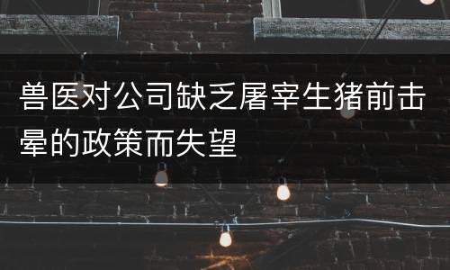 兽医对公司缺乏屠宰生猪前击晕的政策而失望