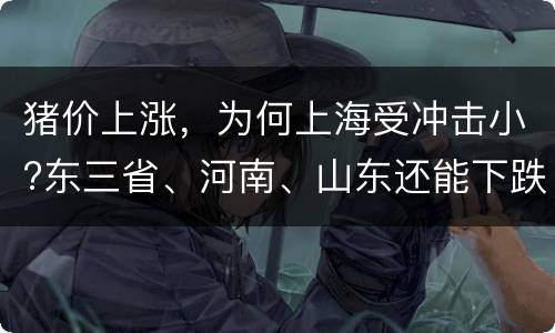 猪价上涨，为何上海受冲击小?东三省、河南、山东还能下跌?
