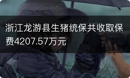 浙江龙游县生猪统保共收取保费4207.57万元