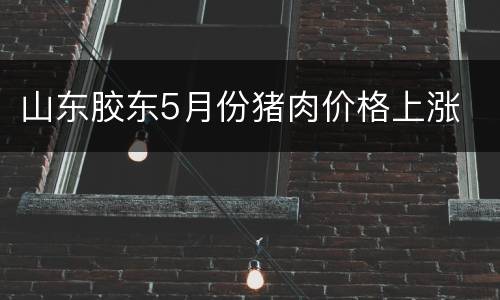 山东胶东5月份猪肉价格上涨