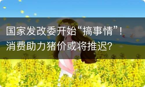 国家发改委开始“搞事情”！消费助力猪价或将推迟？