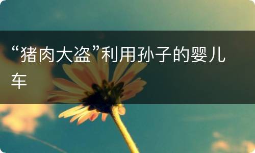 “猪肉大盗”利用孙子的婴儿车