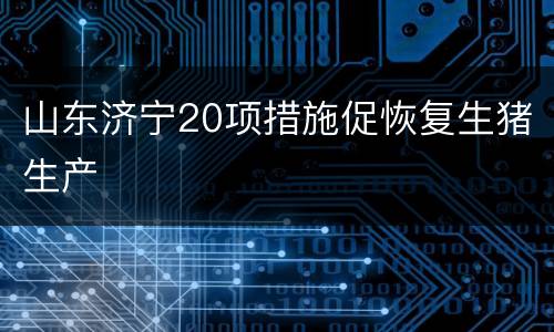 山东济宁20项措施促恢复生猪生产
