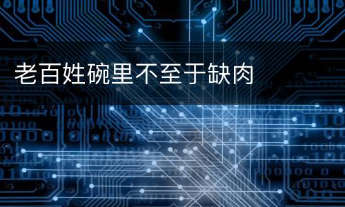 老百姓碗里不至于缺肉