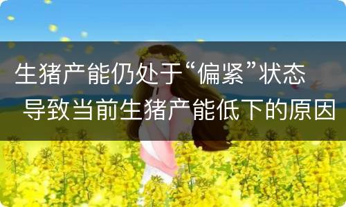 生猪产能仍处于“偏紧”状态 导致当前生猪产能低下的原因